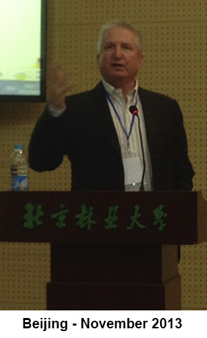 Psychoanalytic education in China